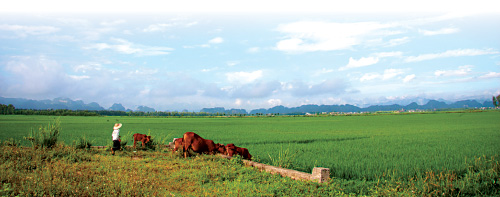 Bình yên Quan Sơn