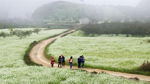 Những “lối mòn” mùa xuân