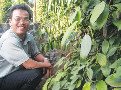 Làm giàu chỉ với một tay