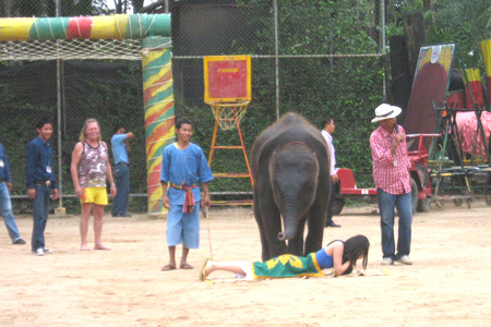 Pattaya, thiên đường nghỉ dưỡng