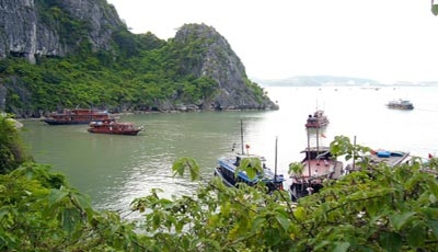 Lựa chọn tour du lịch hè