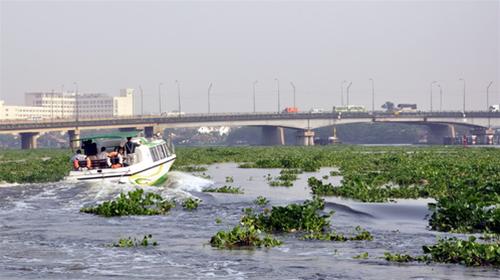 TP.HCM: thêm nhiều tuyến du lịch đường sông