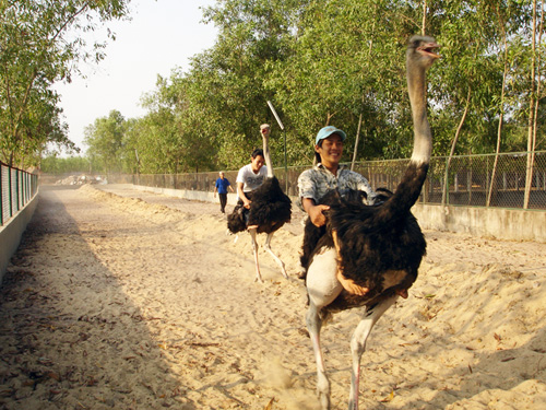 Thư giãn với tour du lịch một ngày