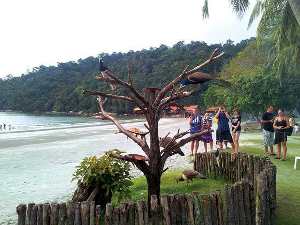 Đảo Pangkor hoang sơ