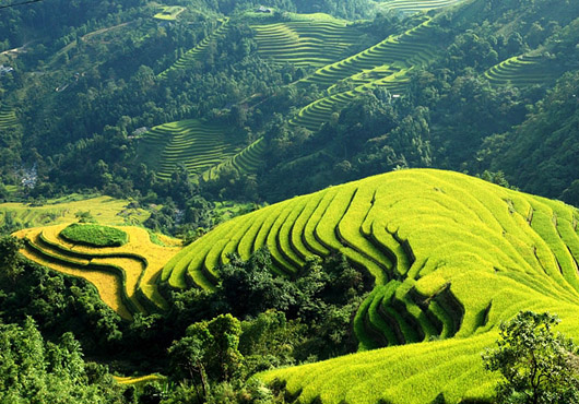 Khám phá cao nguyên đá Hà Giang