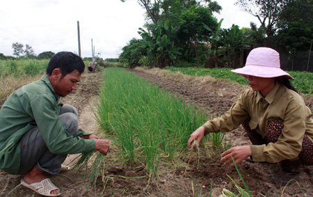 Những tỷ phú trên quê mới