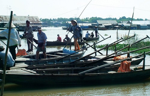 Mùa nước nổi ở đầu nguồn sông Hậu