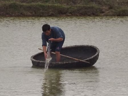 Trại cá trên phá Tam Giang mỗi năm thu nửa tỷ đồng