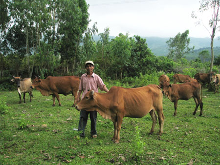 Bỏ “nghiệp” tiều phu, làm chủ trang trại