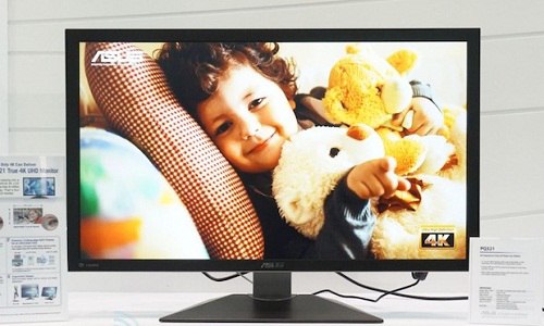 Asus nhận đặt hàng trước màn hình 4K 31,5 inch