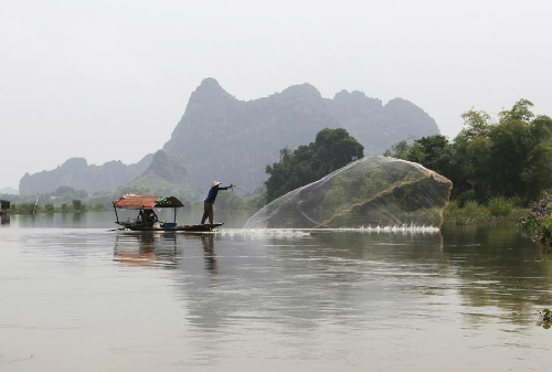 Phượng hoàng đất ở Tràng An