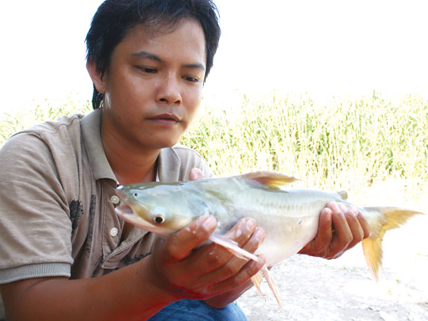 “Đăng liều” thành đạt nhờ “lao” theo cá bông lau