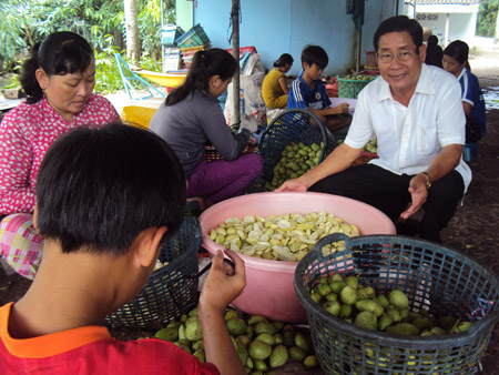 "Ông vua" dưa xoài ở An Giang