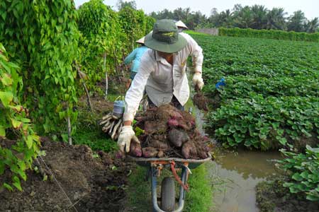 Niềm vui nhân đôi