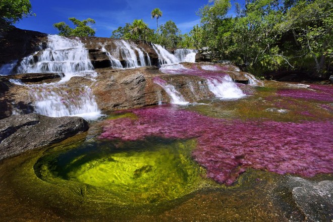 Dòng sông cầu vồng kỳ lạ ở Colombia