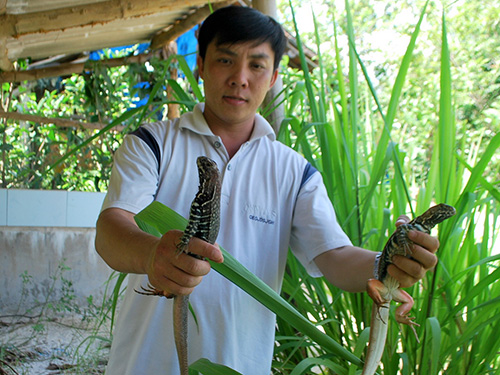 Bỏ máy tính về làm nông