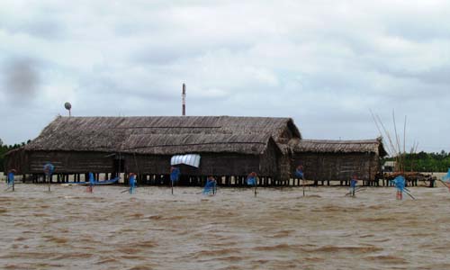 ‘Robinson’ miền Tây làm giàu từ đầm hoang