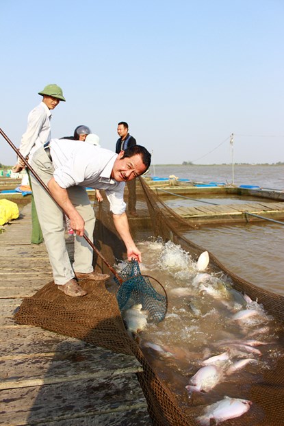 Mạnh dạn nuôi cá lồng, vợ chồng thu tiền tỷ