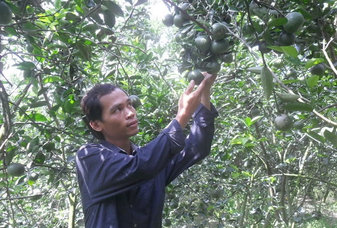 Làm giàu từ câu hỏi tại sao nghèo