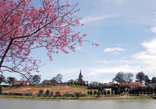 Khám phá Đà Lạt - Cam Ranh - Phan Rang trong 3 ngày nghỉ Tết