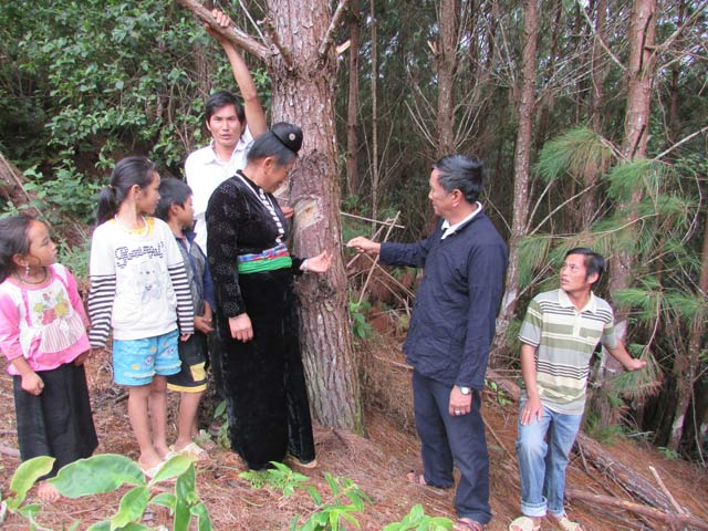 Tỷ phú ở Nông Cốc: "Lúc đầu ai cũng cười tôi, nhưng bây giờ thì..."