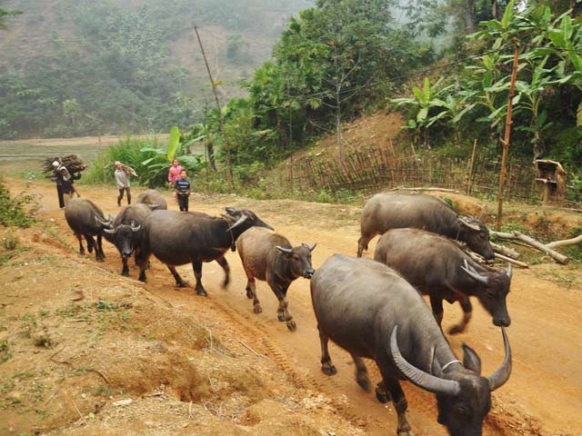 Chuyện lạ về tỷ phú vùng 3