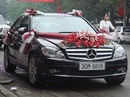 Tp. Hà Nội: Xe Cưới Vip - Mec S500 , E240 , E280 , E300 , C200 ... Camry 3.5Q , 2.4G .. CL1004908P5