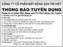 Tp. Hà Nội: Công ty Cổ phần Bất động sản Trí Việt, thông báo tuyển dụng CL1005745P10