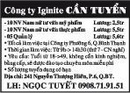 Tp. Hồ Chí Minh: Công ty Iginite Cần Tuyển CL1004367