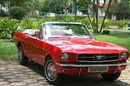 Tp. Hồ Chí Minh: Bán Xe Ford Mustang mui trần đời--- _1965 CL1006778