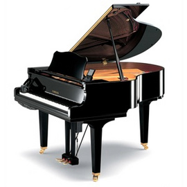 Lớp Dạy Nhạc - Dạy Piano - Organ - Guitar - Trống - 0918469400 - Tp.hcm