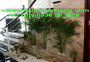 Tp. Hồ Chí Minh: Nhận thiết kế sân vườn theo mọi nhu cầu Khách hàng CL1127702P19