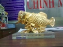 Tp. Hồ Chí Minh: Cá chép vàng trưng ngày tết CL1103649P8