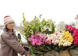 Đại lý hoa tươi Đà Lạt, chi nhánh tại TP Đà Nẵng chuyên cung cấp sĩ hoa tươi