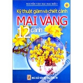 Kỹ Thuật Giâm Và Chiết Cành Mai Vàng 12 Cánh