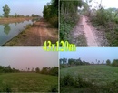 Tp. Hồ Chí Minh: Bán đất 2mặt tiền kênh đông 43m x 120m ( 4539m2) giá 1.4 tỷ RSCL1464314