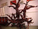 Tp. Hồ Chí Minh: Bán một tượng gỗ 9 đầu rồng bằng gỗ quý giáng hương, được tạc bằng gỗ giáng hương CL1083876P10
