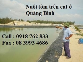 Bạt nhựa pe lót hồ tôm chất lượng cao