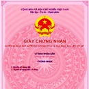 Tp. Hồ Chí Minh: Bán Nhà nát s/hồng đg nhựa 12m tiện kinh doanh RSCL1149363