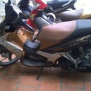 Tp. Hồ Chí Minh: Em Đang Kẹt Tiền Cần Bán Gấp Xe YAMAHA - Nouvo LX ( Màu Nâu - Bạc-Đen ) CL1045533P6