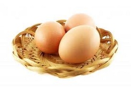 Trứng gà được NUÔI BẰNG BẮP cần cung cấp cho nhà hàng, trường học, siêu thị ...