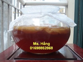 Nấm Thủy Sâm - HCM - 150,000đ