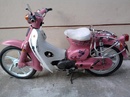 Tp. Hà Nội: Bán Honda cúp 50cc Made in Japan CL1052926