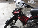 Tp. Hồ Chí Minh: Yamaha Sirius mua thùng 2008, màu đỏ đen xám, moi 100% CL1055665P7