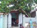 Tp. Hồ Chí Minh: Bán Biệt thự mini, TPHCM, củ chi, xã an nhơn tây, Đối Diện Chợ, Gần Trường Học RSCL1137775