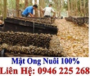 Tp. Hồ Chí Minh: Bán mật Ong nuôi nguyên chất, 220ng/lít CL1069888P7