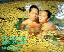 Tp. Hồ Chí Minh: Ánh Ngọc spa - Tắm trắng xinh như Hồ Ngọc Hà CL1203277P18