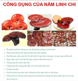 Linh chi thảo dược