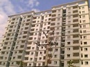 Tp. Hồ Chí Minh: Cần bán căn hộ, phường Tam Bình, Quận Thủ Đức, TP. HCM CL1071817P11