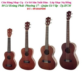 đàn ukulele - bán đàn ukulele - 0918469400 - tp. hcm